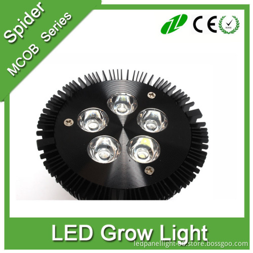 Full Spectrum E27 15w Led Grow light Red+Blue Indoor grow box Hydroponic Systems lamps for plants led aquarium grow tent